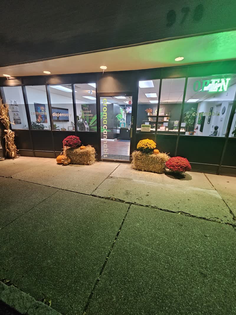 The Aroma Cannabis storefront at night: the green OPEN sign lit, aroma cannabis window lettering, and seasonal hay-bale planters by the door.